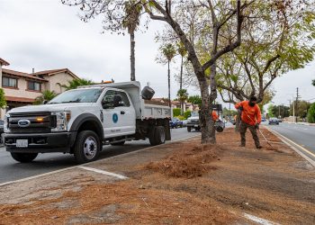 PublicWorks