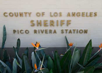 sheriff