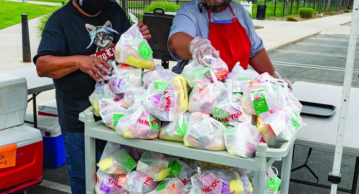 CITY MEALS 4
