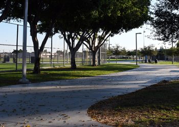 Cropped Park e1623874873579