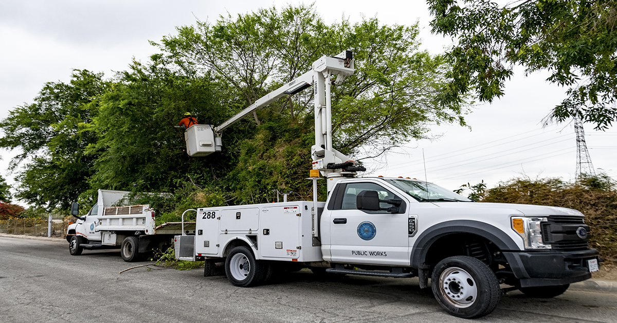 National Public Works Week 2 Tree Trimming