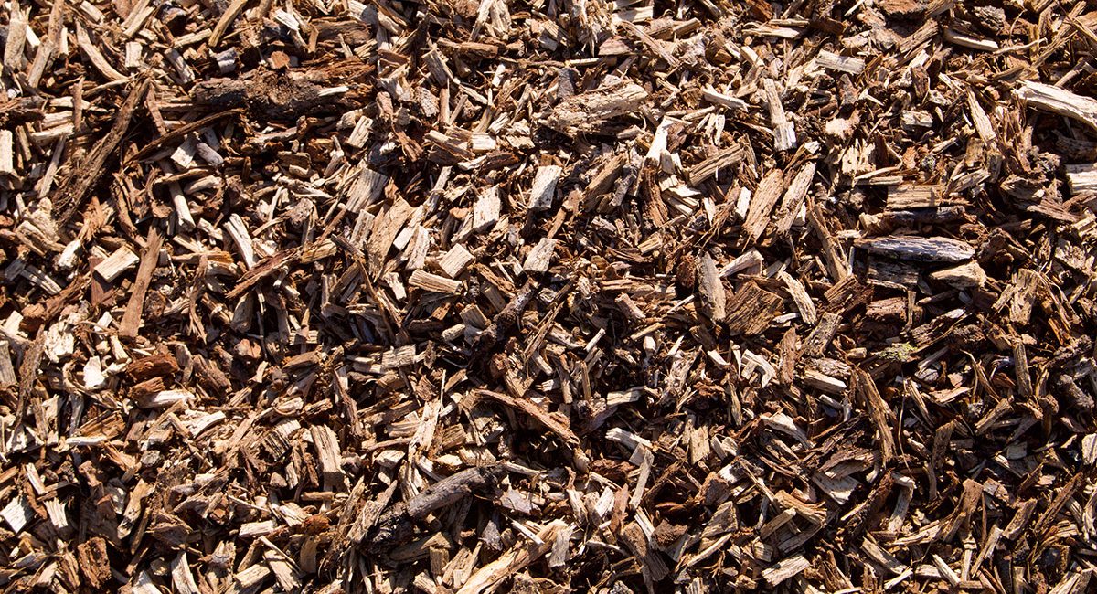 mulch