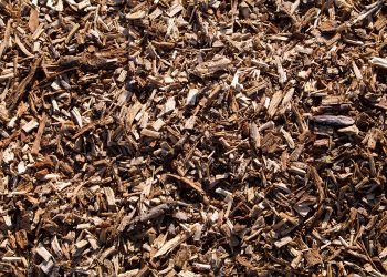 mulch