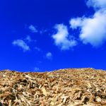 Mulching with Clouds