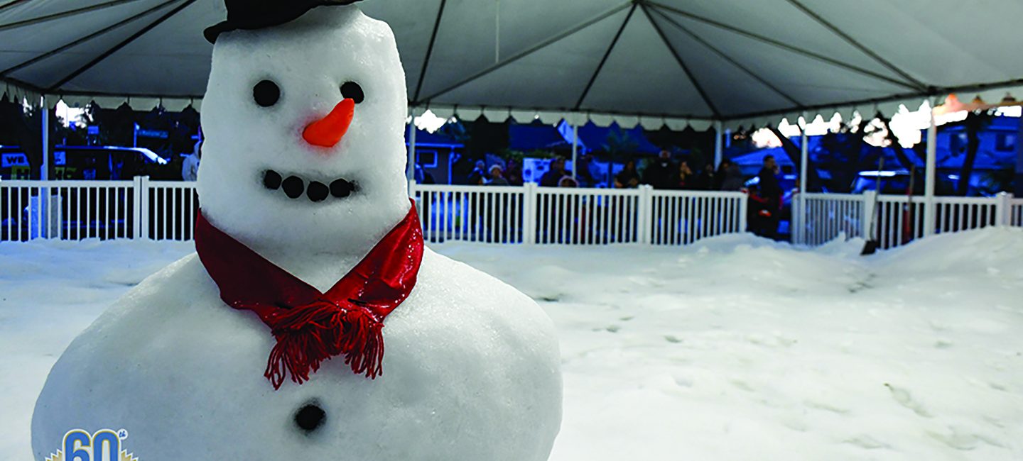 WINTER WONDERLAND 2