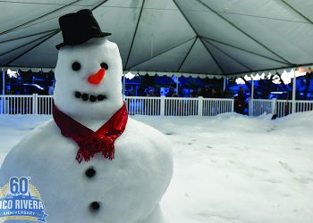 WINTER WONDERLAND 2
