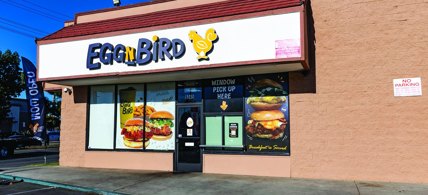 Egg N Bird