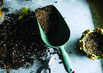 Smart Gardening Scoop