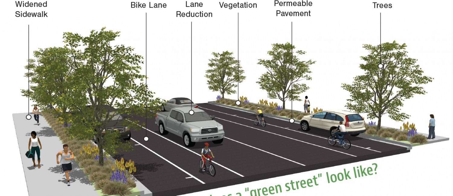 Fact Sheet green look like