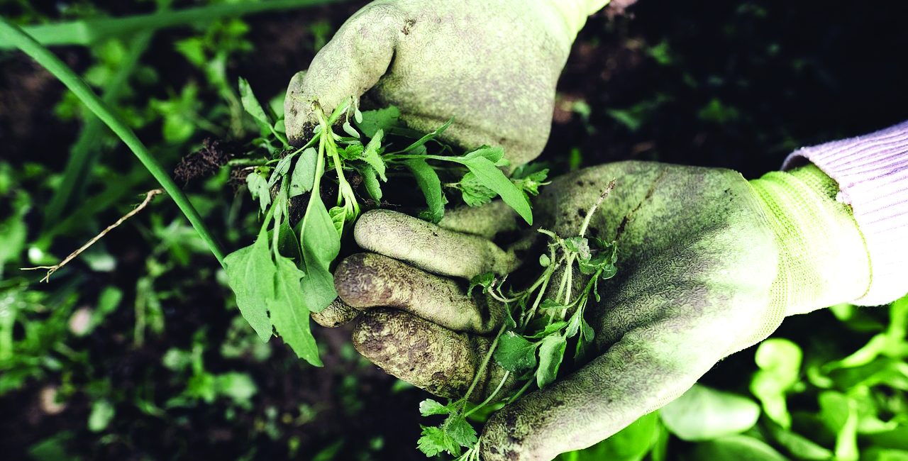 SMART GARDENING WKSHP 1