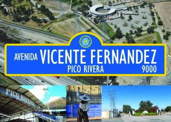 Avenida Vicente Fernandez