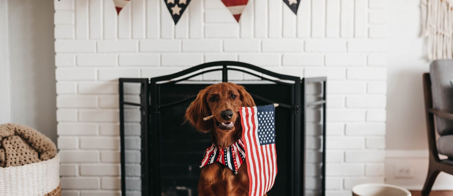 camylla battani gZltlzPun9c unsplash