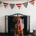 camylla battani gZltlzPun9c unsplash