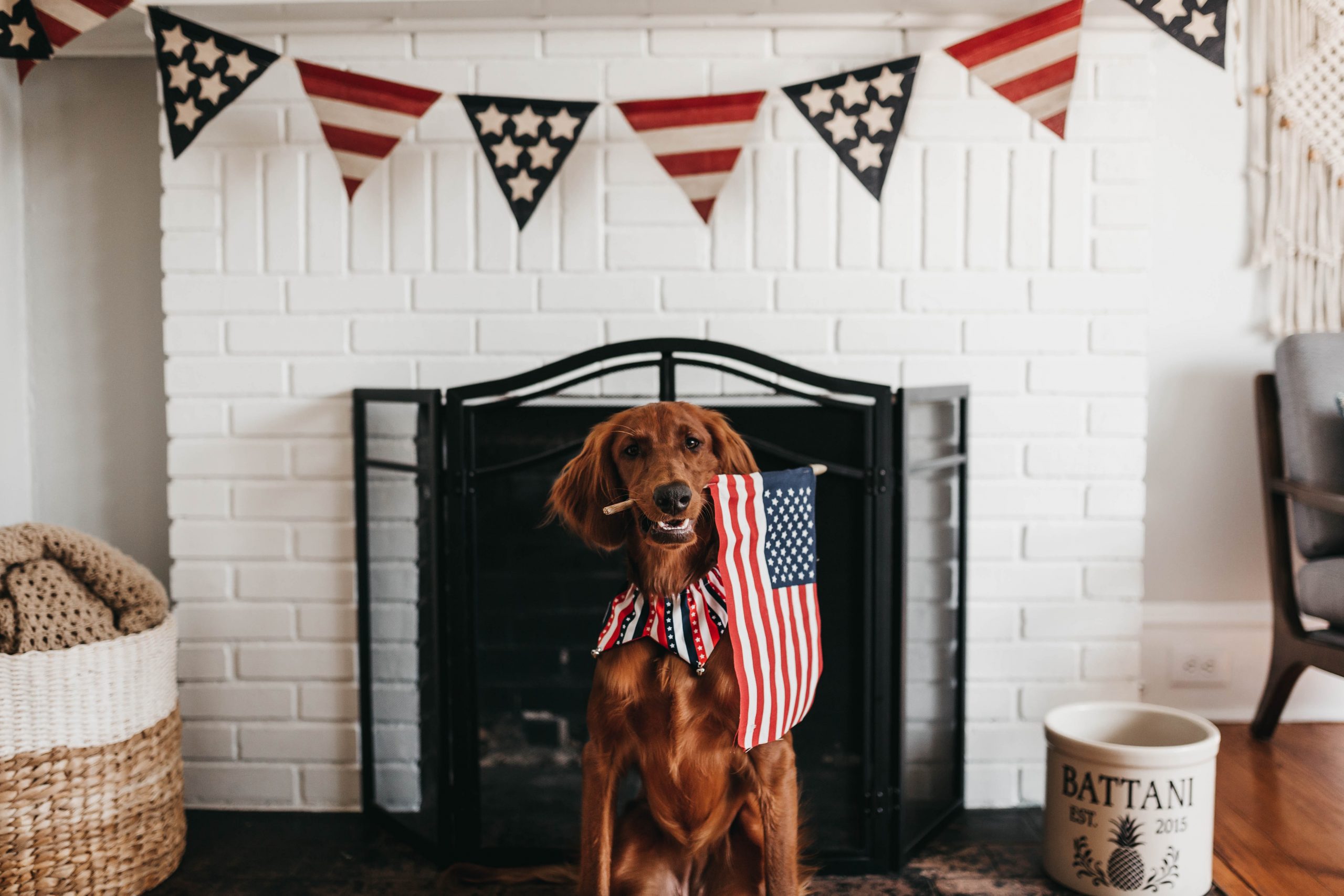 camylla battani gZltlzPun9c unsplash scaled