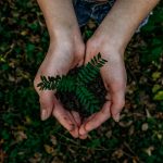 noah buscher x8ZStukS2PM unsplash