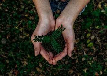 noah buscher x8ZStukS2PM unsplash
