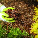Female hands in compost