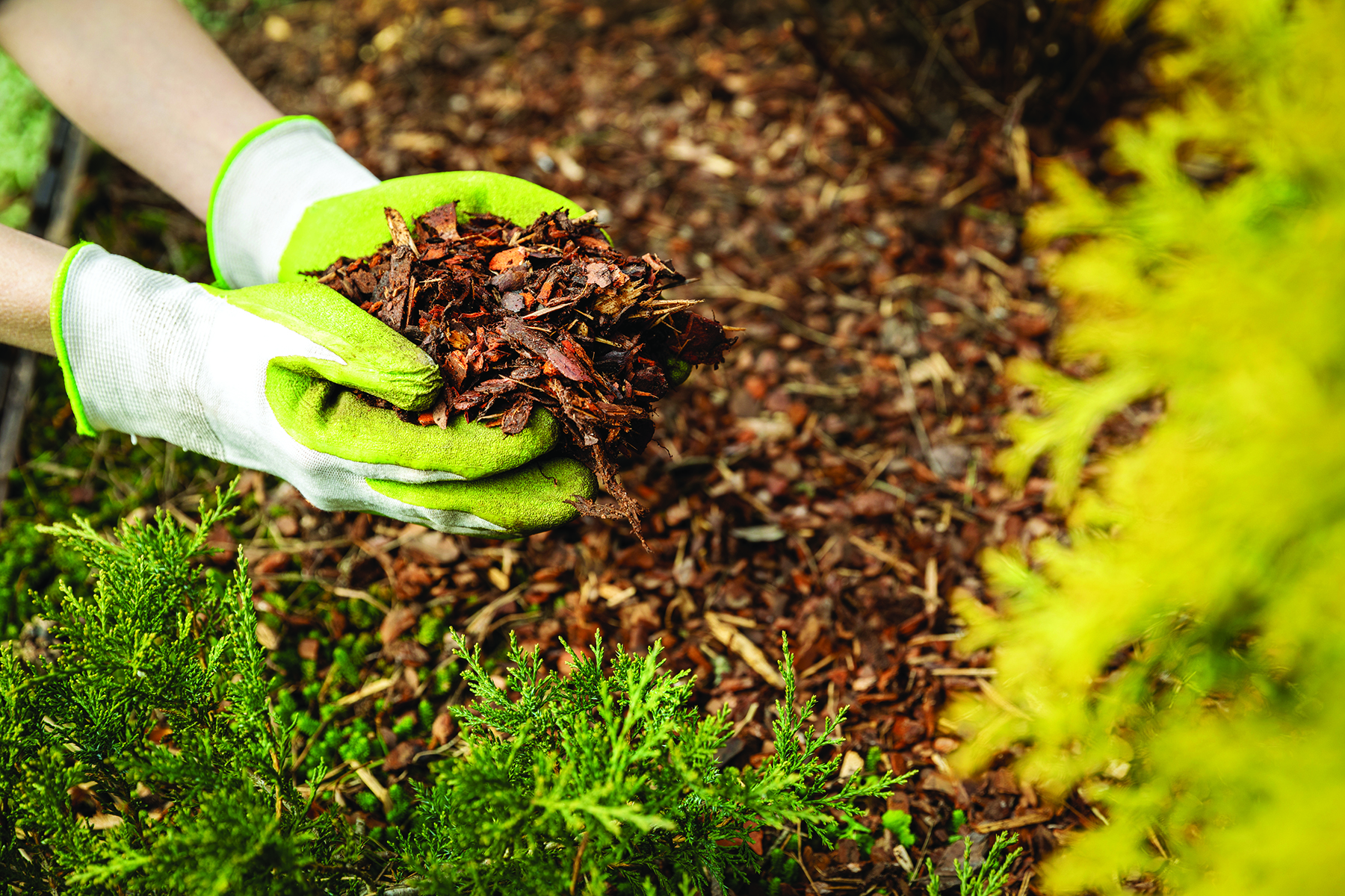 Water-Wise Gardening and Backyard Composting Workshop