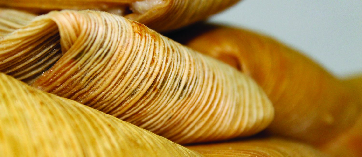 Tamale Festival