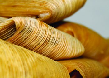 Tamale Festival