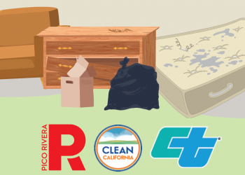 Dump Items