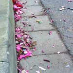 Fireworks Fallout in Gutter