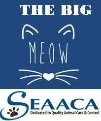 Big Meow Logo 2018