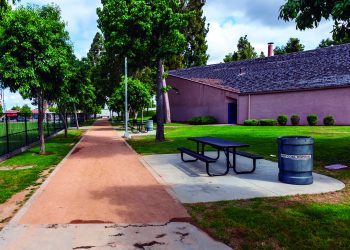CLEAN PARK 2