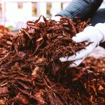 Garden Mulch