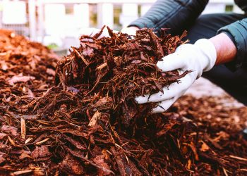 Garden Mulch