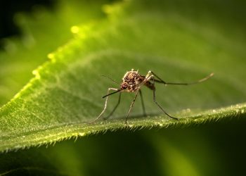 erik karits XiYo6XE0Cvg unsplash