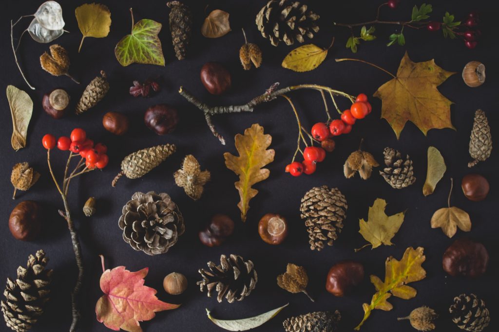 karolina badzmierowska KW3kWikn5cI unsplash