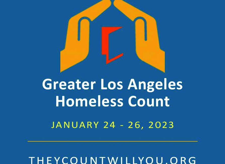 Homeless Count 1
