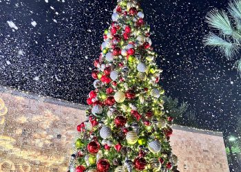 O X Mas Tree