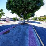 THAT MEDIAN STORY 1