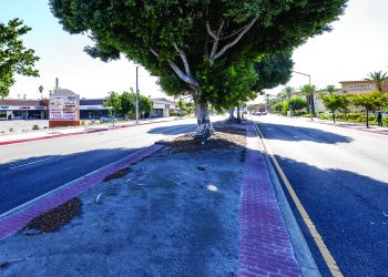 THAT MEDIAN STORY 1