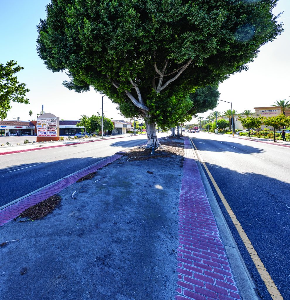 THAT MEDIAN STORY 1