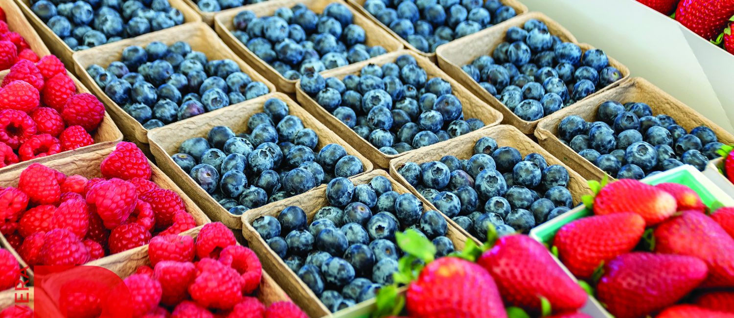 FARMERS MARKET fruit closeup