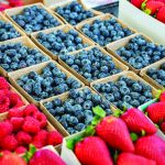 FARMERS MARKET fruit closeup