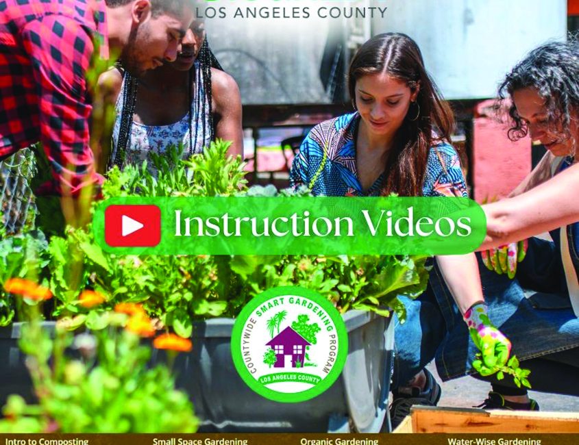 Countwide Virtual Gardening Programs