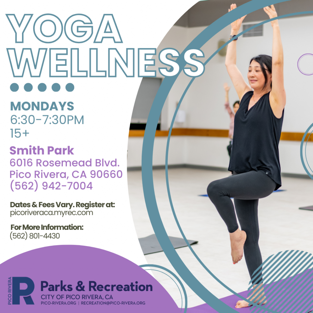 Social Media Yoga Wellness