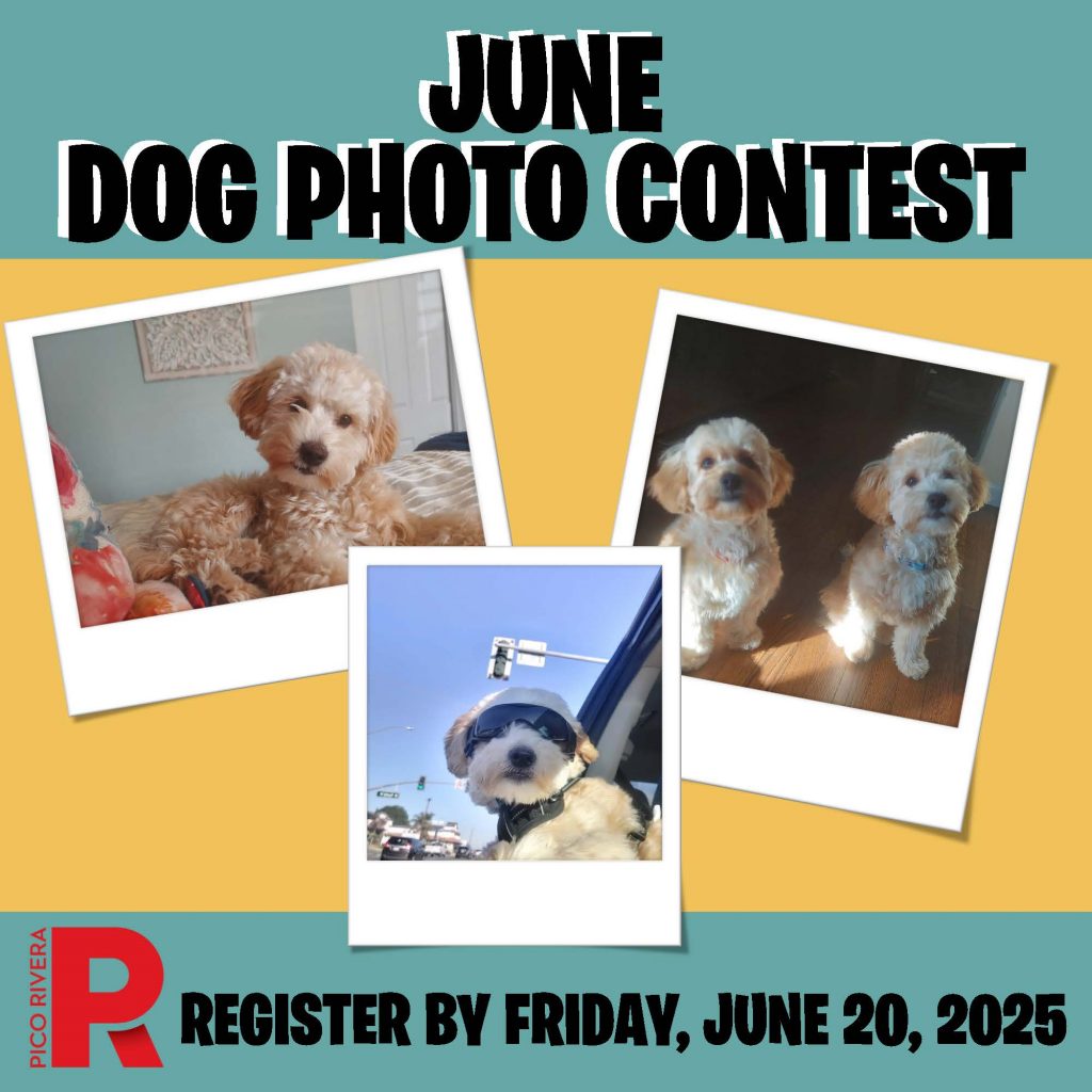 June Dog Photo Contest