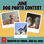 June Dog Photo Contest