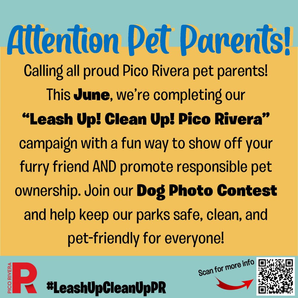 Leash Up Clean Up Campaign Flyer