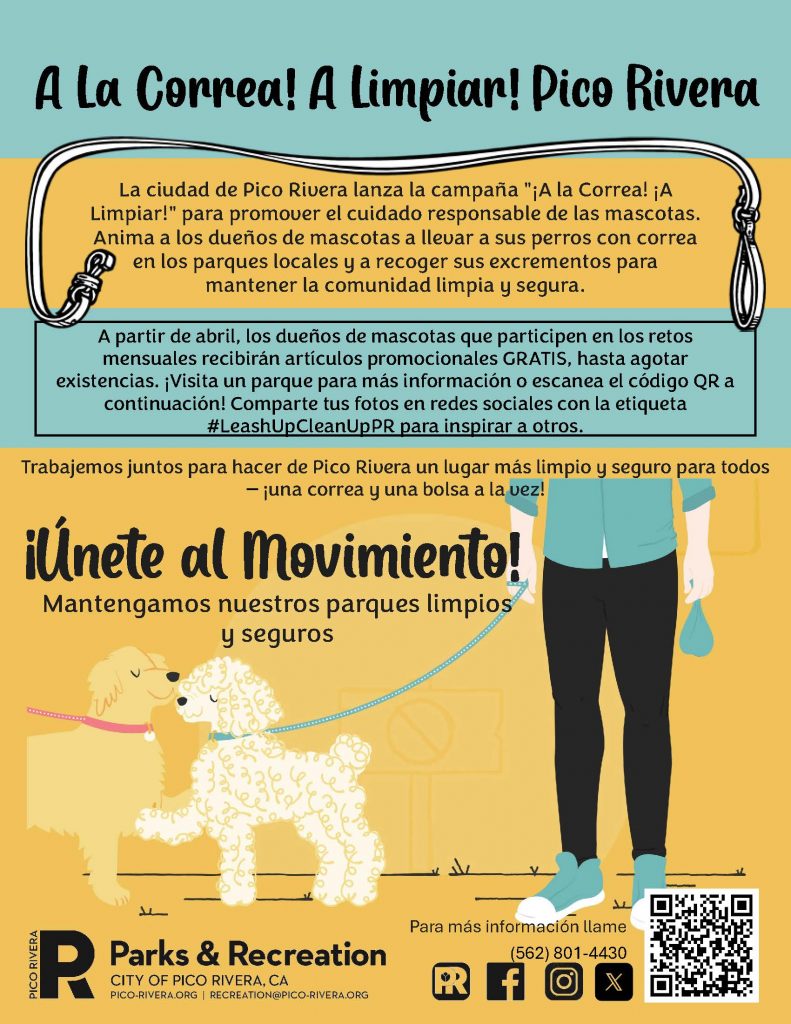 Leash Up Campaign Flyer Spanish
