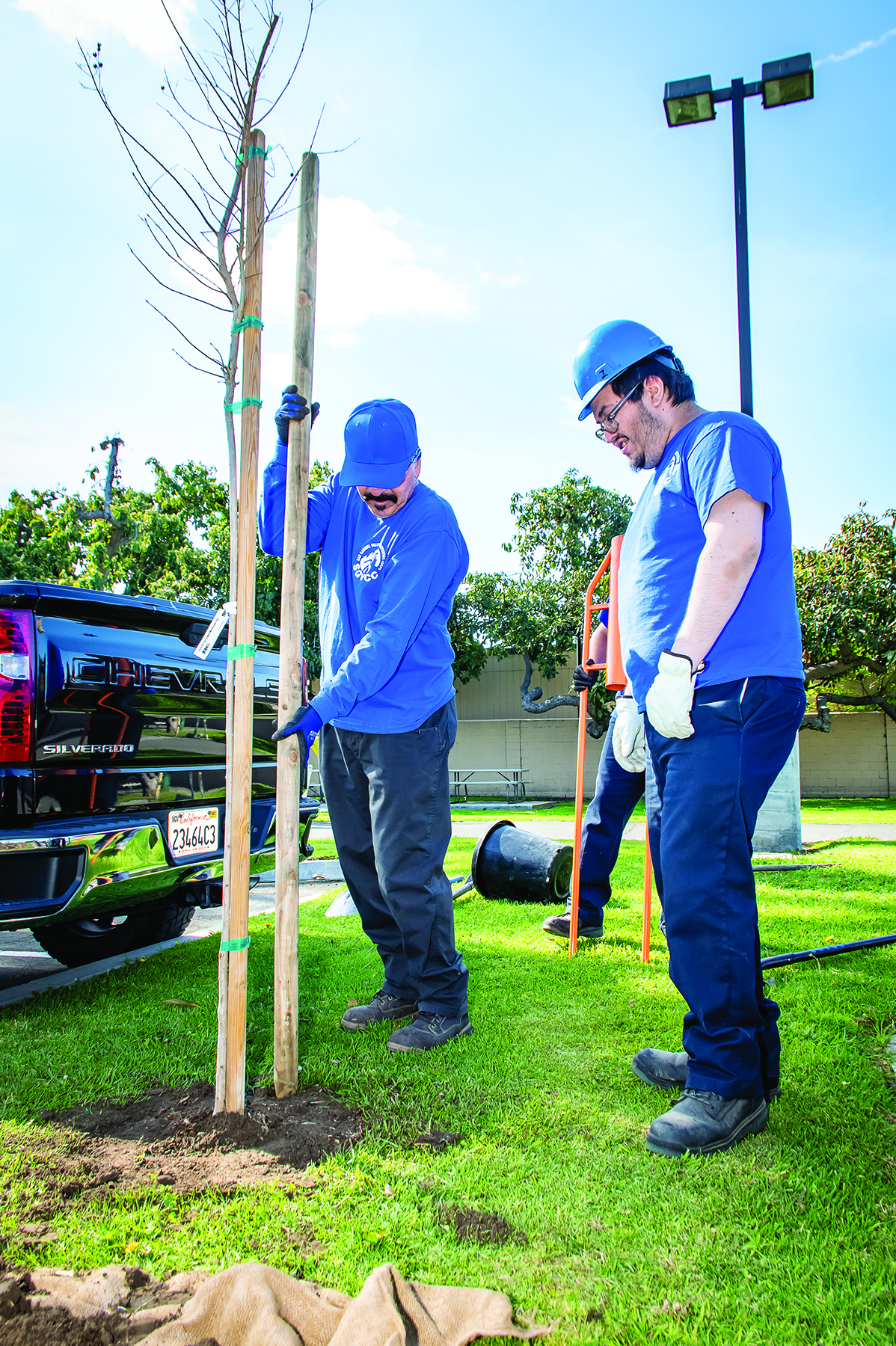 Home Page 39 Help Make Pico Rivera Greener by Adopting a Tree