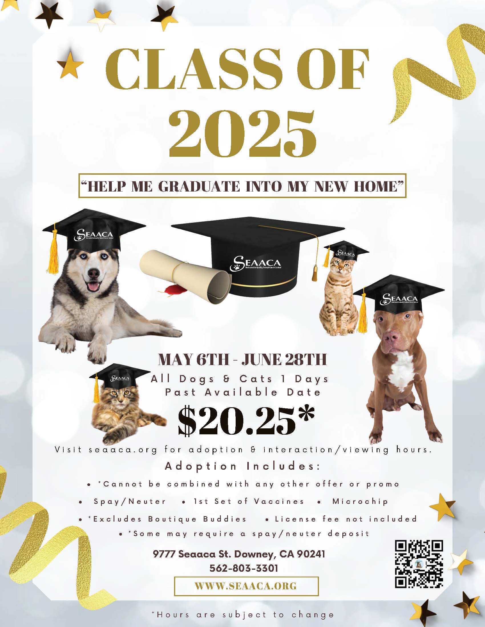 Class of 2025 Adoption Promotion