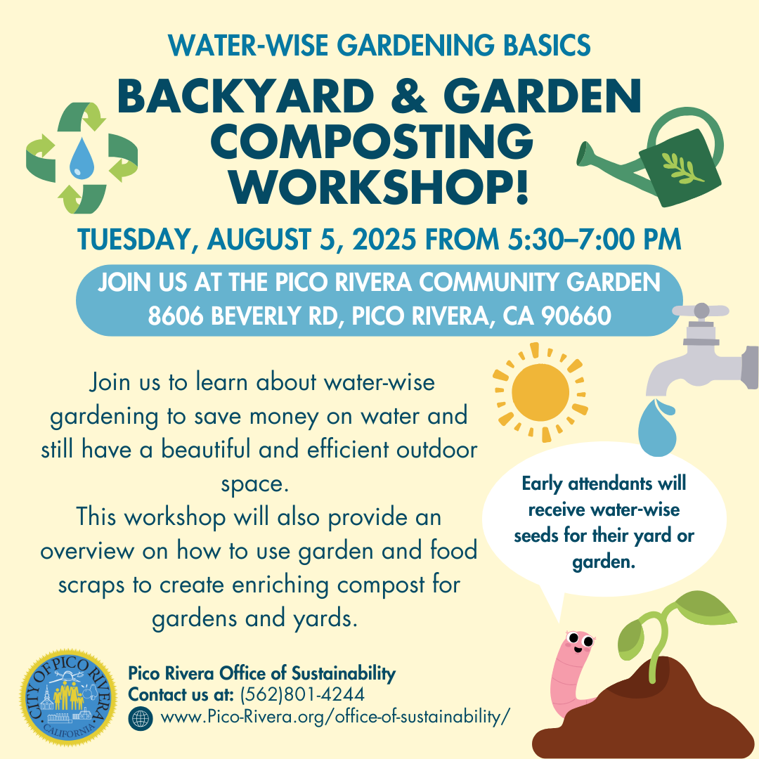 City Profile Summer Compost Q3 2025