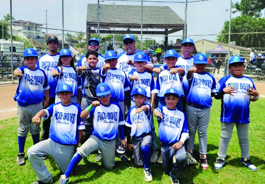 PB MAJORS