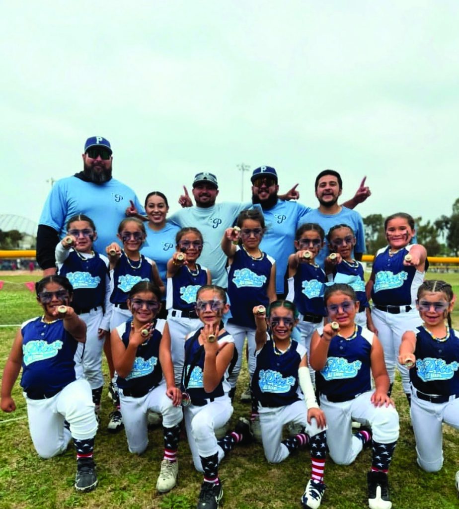 Pico Fastpitch 6U